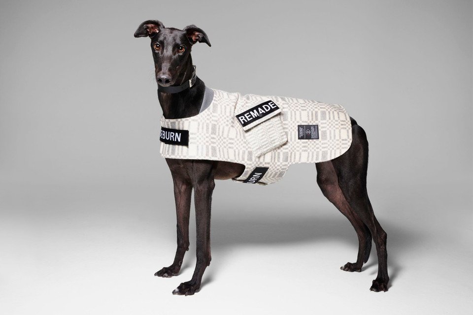Bespoke Dog Coat for Battersea Dogs