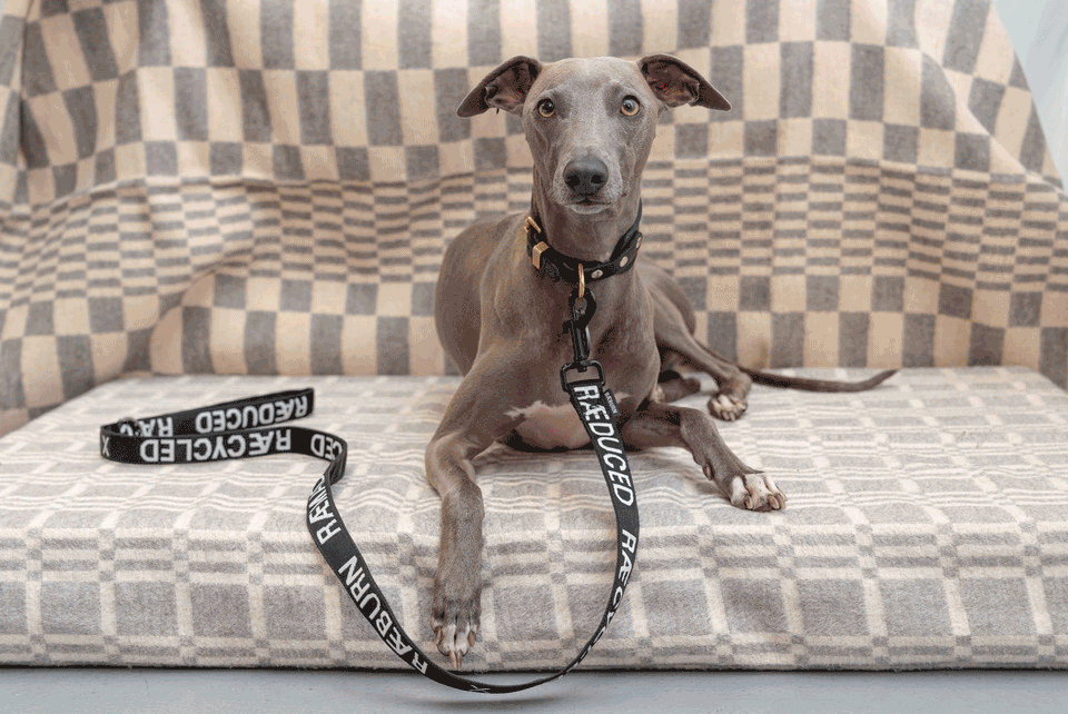 RÆBURN Dog Leads