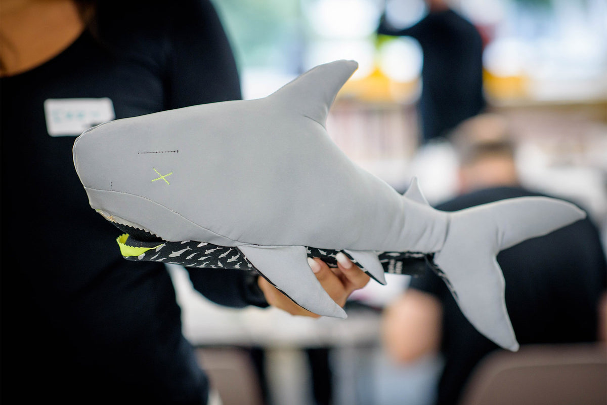 DIY Shark Mascot